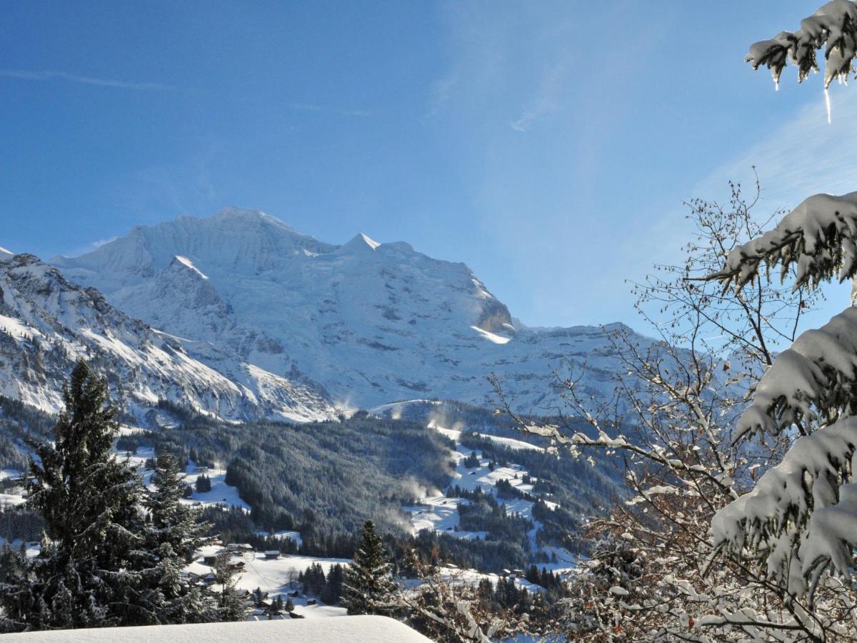 Apartment Helene Apt-Diana By Interhome Wengen Exterior foto